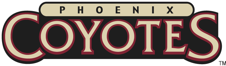 Phoenix Coyotes 2003-2008 Wordmark Logo fabric transfer